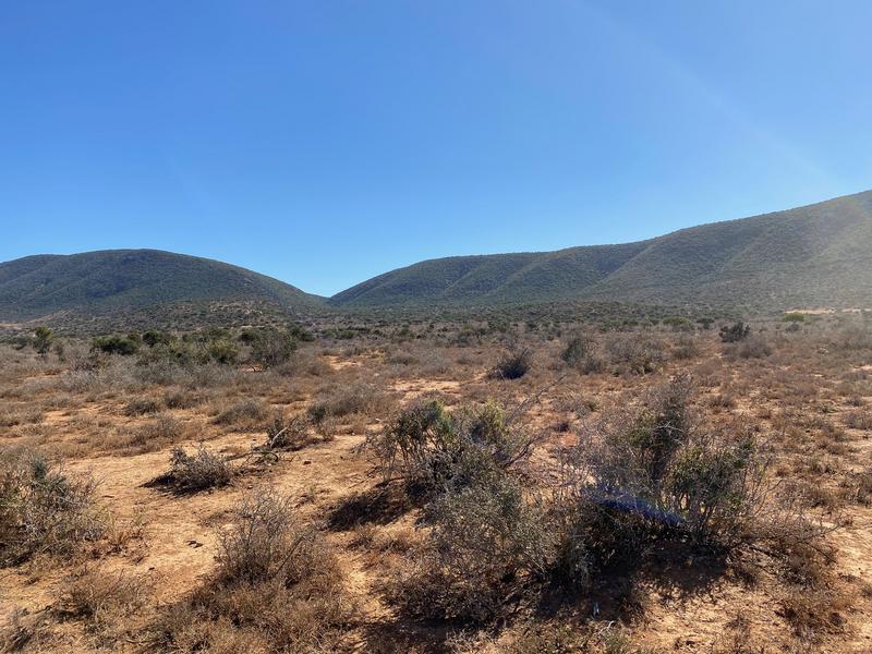 0 Bedroom Property for Sale in Kirkwood Eastern Cape